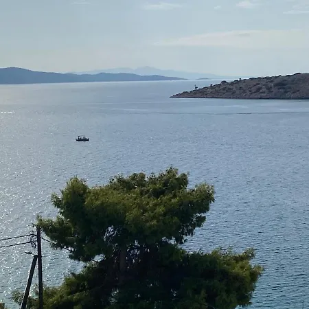 Two Islands * Pachi
